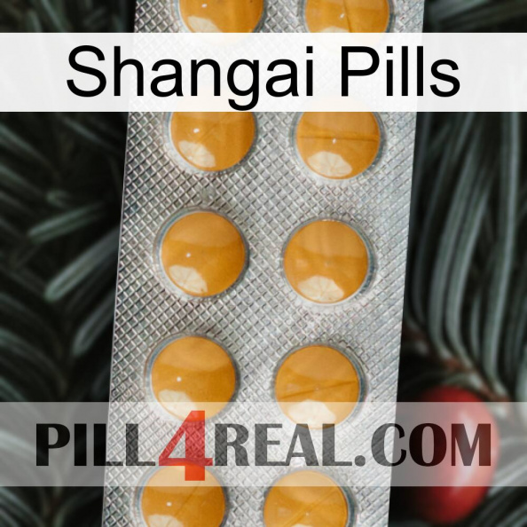 Shangai Pills levitra1.jpg